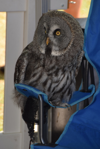 2024-Mountsorrel-Revival-42