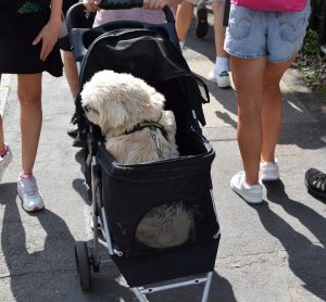 2025-Mountsorrel-Revival-121