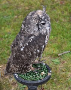 2025-Mountsorrel-Revival-339