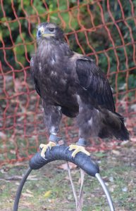 2025-Mountsorrel-Revival-343