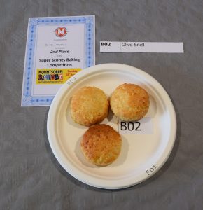 2025-Mountsorrel-Revival-46