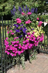 2025-Mountsorrel-Revival-62