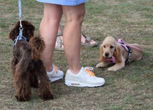 2025-Mountsorrel-Revival-82